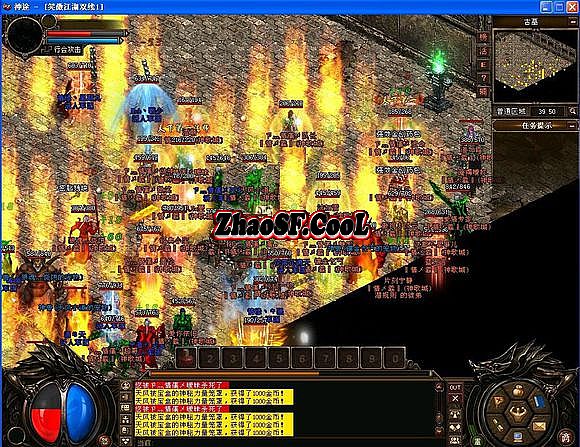 ʢ������������